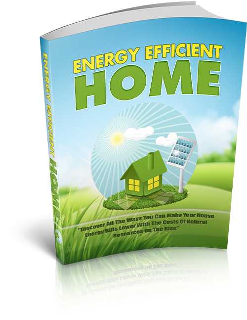 Energy Efficient Home